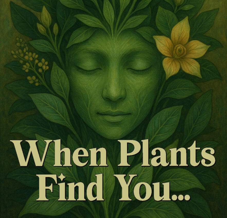 PLANTS find YOU article